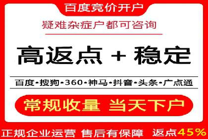 关键词竞价排名实战案例分析及优化
